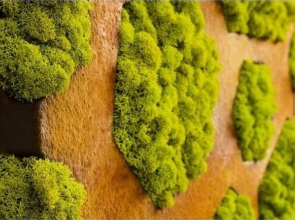 دیوار سبز مینیاتوری