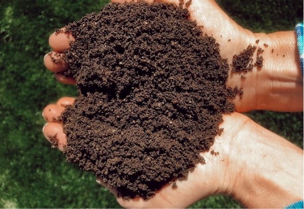 قیمت شن و ماسه