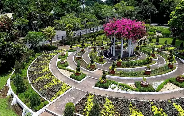 طراحی باغ و پارک