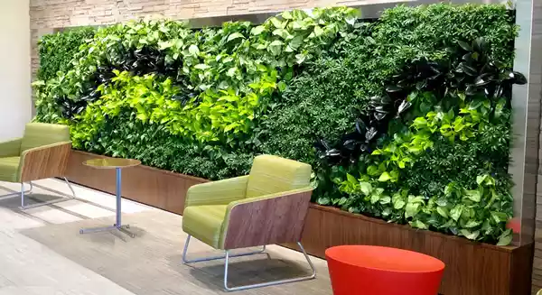 دیوار سبز طبیعی