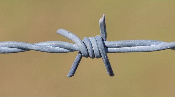 سیم خاردار خطی