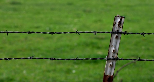 سیم خاردار خطی