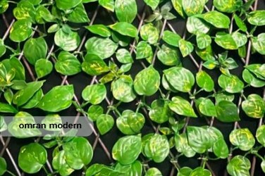 پنل دیوار سبز مصنوعی آکاردئونی