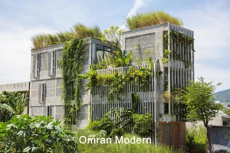 نمای سبز