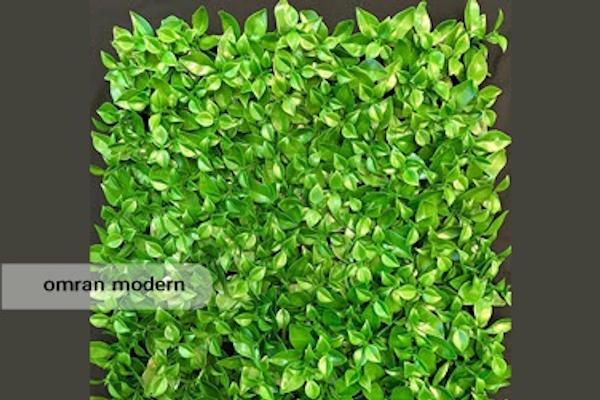دیوار سبز مصنوعی - مدل برگ پرتقالی