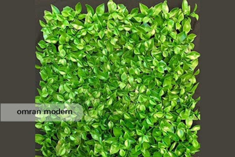 دیوار سبز مصنوعی - مدل برگ پرتقالی