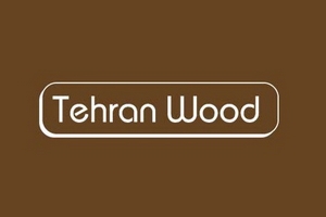 تهران وود