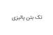 تک بتن پالیزی