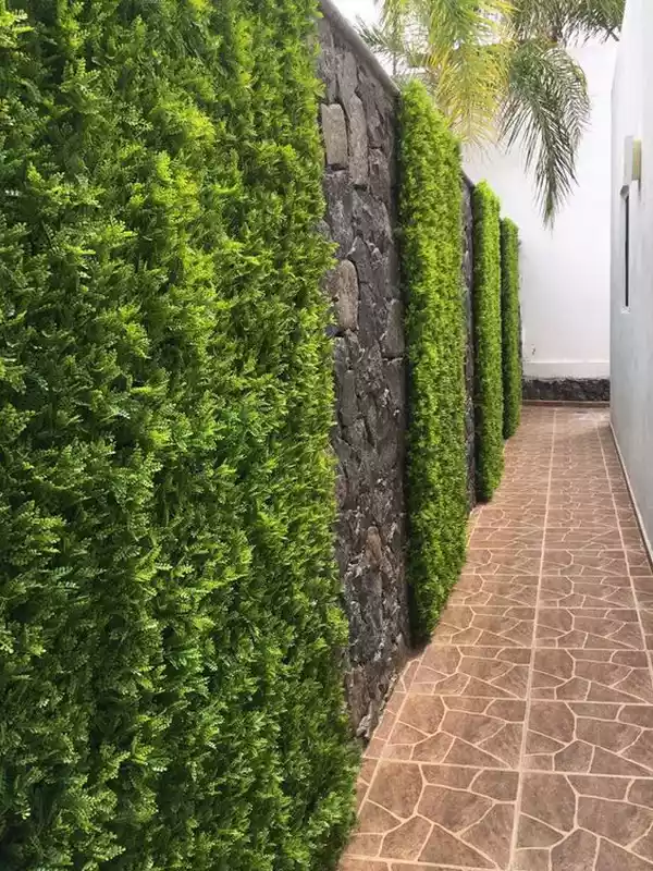 ارزانترین نمای دیوار حیاط