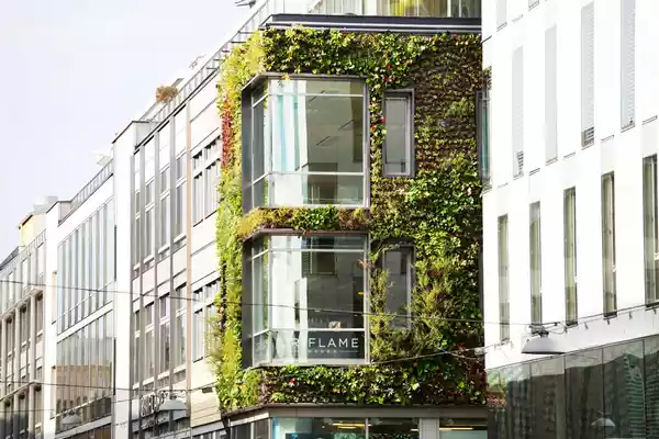 نمای سبز ساختمان