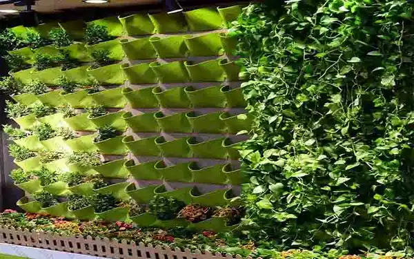 تولید کننده گلدان دیوار سبز