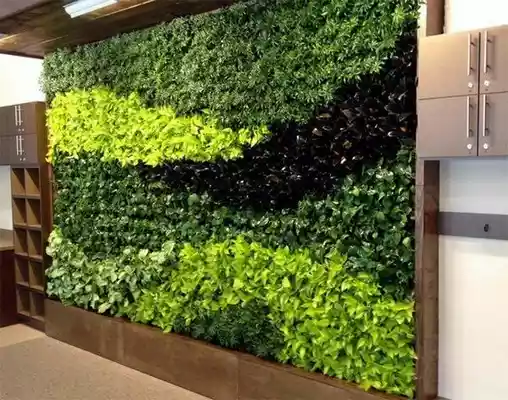 تولید کننده دیوار سبز