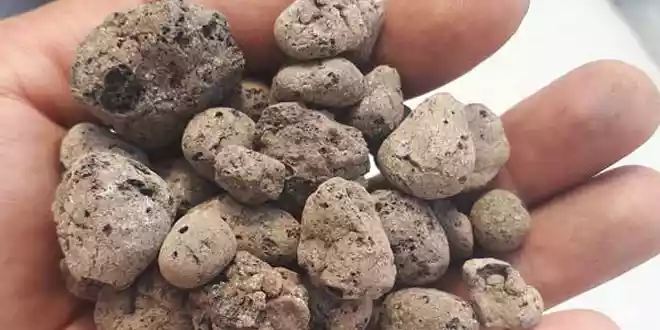فروش پوکه معدنی تهران