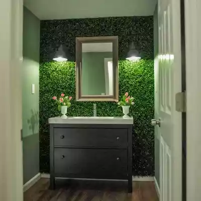 دیوار سبز دیجی کالا