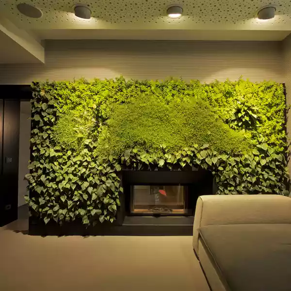 گیاهان مناسب دیوار سبز