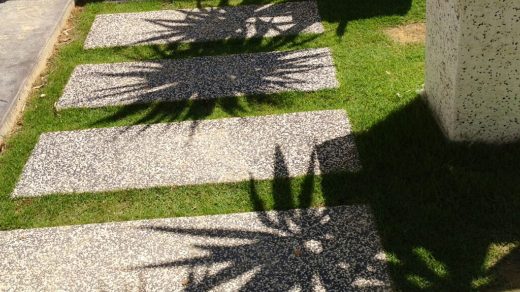 واش بتن با چمن