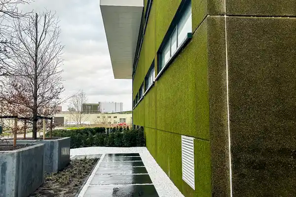 واش بتن دیواری