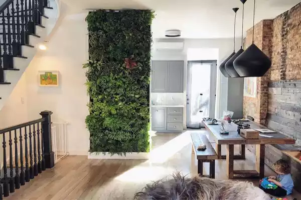 دیوار سبز در منزل