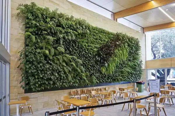 مزایای دیوار سبز