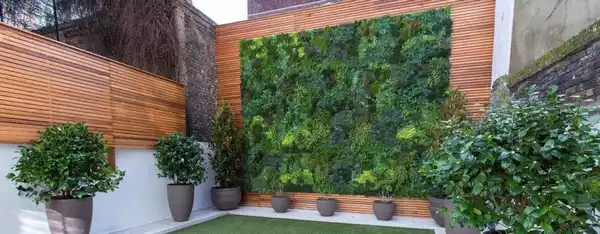 دیوار سبز حیاط