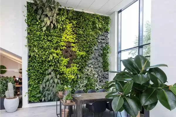 مزایای دیوار سبز