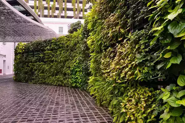 طرح دیوار سبز