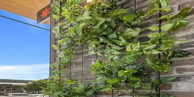 دیوار سبز شبکه ای