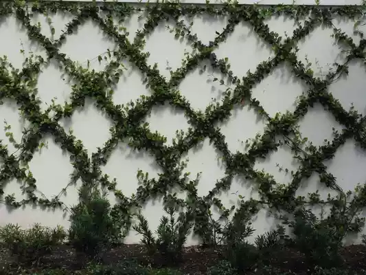 دیوار سبز کابلی