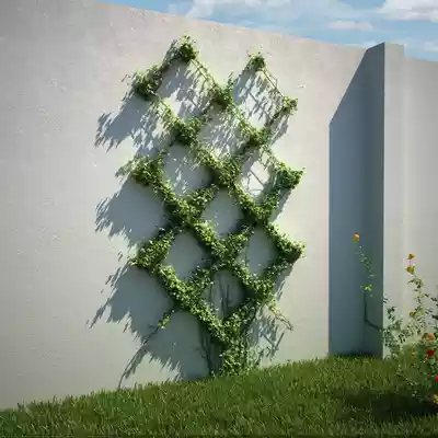 قیمت دیوار سبز کابلی