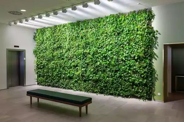 دیوار سبز مصنوعی دیجیکالا