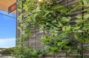 دیوار سبز شبکه ای