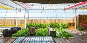 عایق کاری روف گاردن