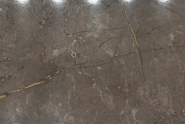 اس پی ال چیست
