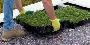 زهکشی روف گادرن