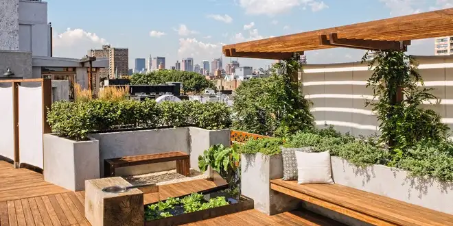 ضوابط طراحی روف گاردن