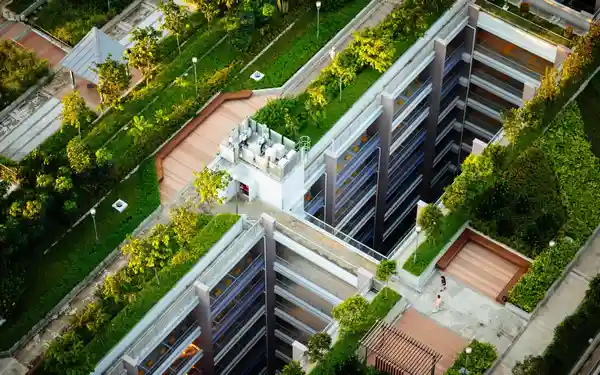 ضوابط طراحی روف گاردن