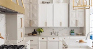 کابینت ممبران کرم طلایی