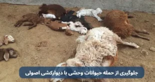 جلوگیری از حمله حیوانات وحشی با دیوارکشی اصولی