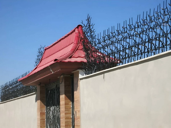 دیوار یا دوربین مداربسته