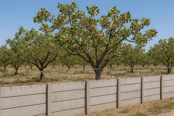 سرمایه گذاری در حصارکشی باغ پسته