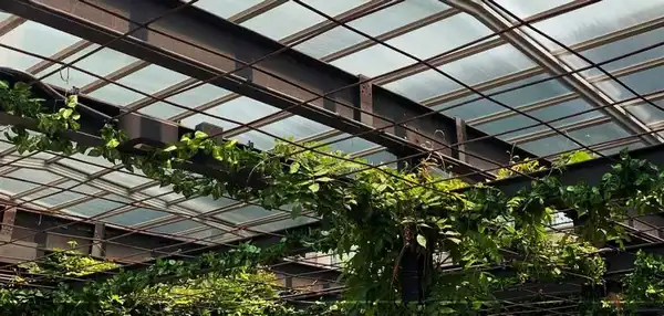 سقف گلخانه متحرک