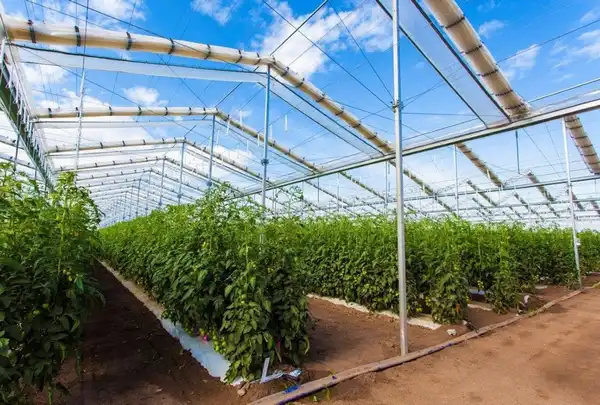 سقف گلخانه متحرک