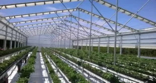 سقف گلخانه متحرک