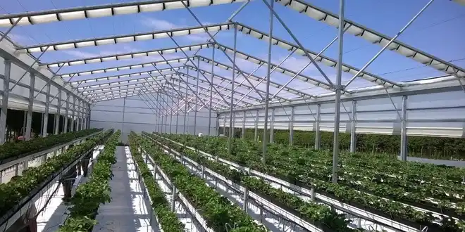 سقف گلخانه متحرک