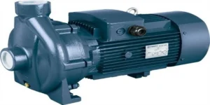 پمپ آب یک اسب بشقابی