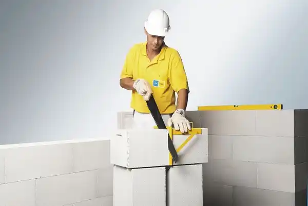 ۱۲ معیار تصمیم گیری هبلکس و لیکا