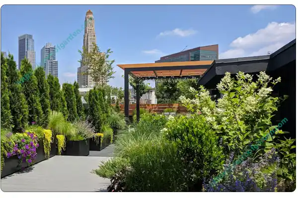 انتخاب درخت کم ریشه در طراحی روف گاردن