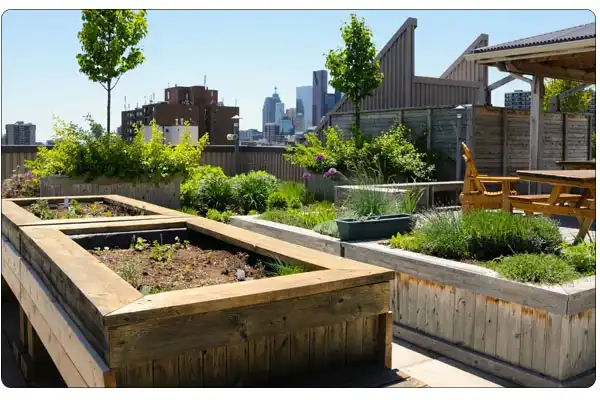 هماهنگی درختان کم ریشه با طراحی معماری روف گاردن