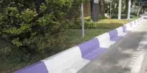 ایده های طراحی محوطه با جدول بتنی رنگی