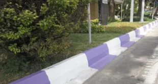 ایده های طراحی محوطه با جدول بتنی رنگی